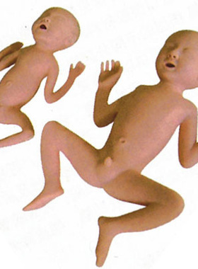 高级24 周早产儿模型FT331A