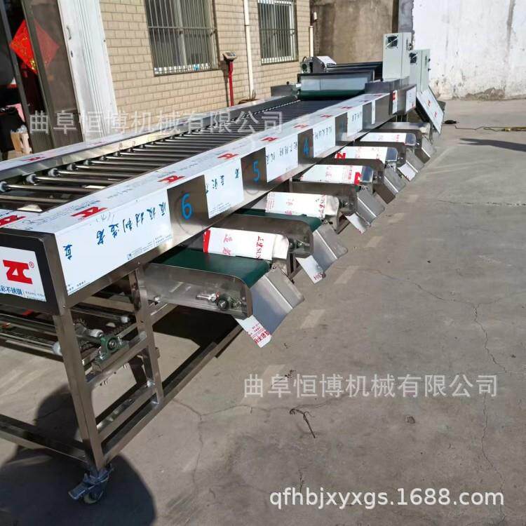 沃柑圣女水果选果机大型滚杠分选机土豆红薯洋葱橘子筛选机