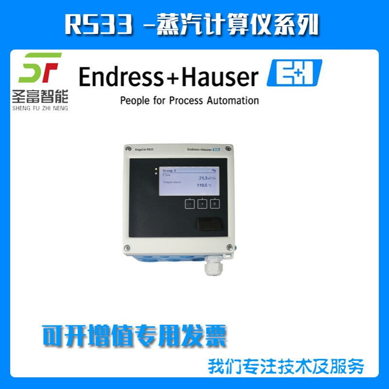 RMS621-21AAA12A1蒸汽计算仪