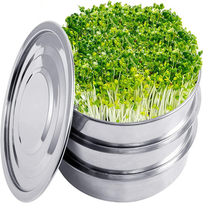 不锈钢发芽盘Stainless Steel Sprouting Tray萌 芽器发芽托盘2层