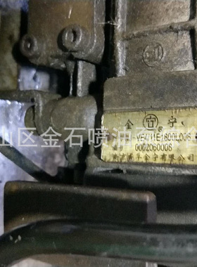南京油泵总成 VE4/11E1800L008 南京威孚金宁油泵 0002060008