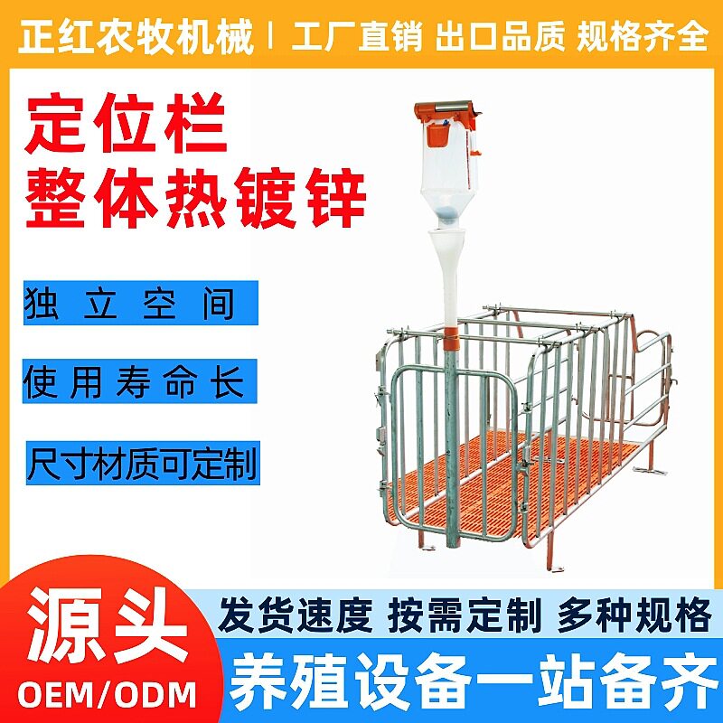 正红母猪定位栏落地式限位栏 猪用定位栏带槽 加厚产床仔猪保育