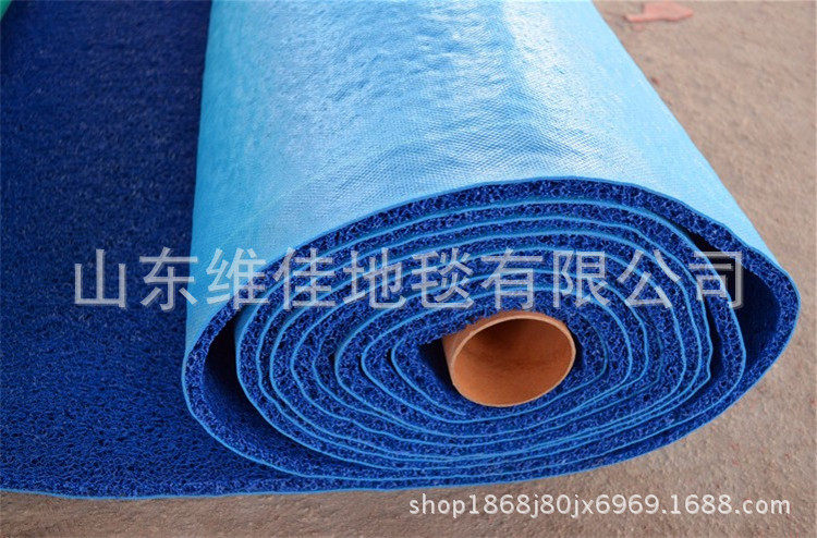 批发塑料pvc喷丝地垫加厚电梯进门垫酒店迎宾 加厚丝圈地毯可裁剪