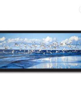 现货10.3寸液晶显示屏1920X720车载高清屏幕HSD103JPW2-E21F10屏