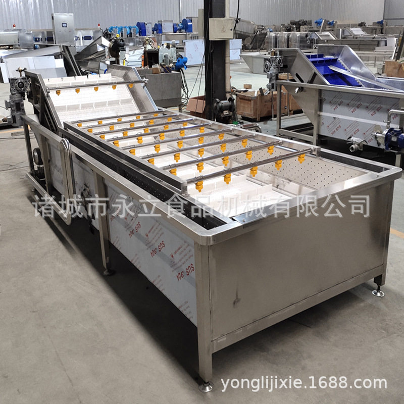 全自动气泡果蔬海鲜清洗复冻线