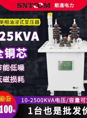 10kv/D11单相油浸式电力配电变压器250工业315/400/630全铜125kva