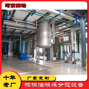 国瑞油脂 大型商用棕榈油精炼分提设备 棕榈毛油整套提纯机器