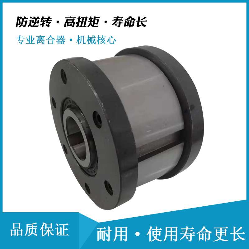 圆柱滚子式离合器GCZ-B2590/GCZ-B30100/GCZ-B35100用于化工机械