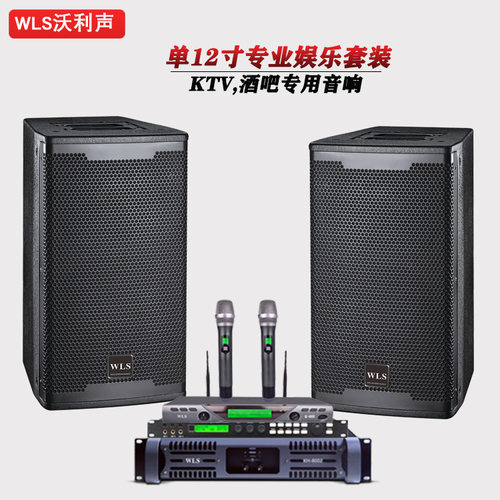 12寸家庭KTV卡拉OK音箱娱乐音响舞蹈培训室酒店包房音响生产厂家