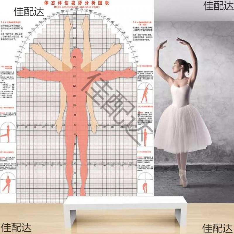 瑜伽健身体态评估测试图壁纸