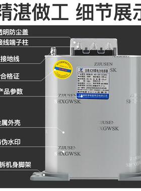 上海威斯康ZON相自愈式低压并联电力电容器BS三MJ0补.45无功柜450