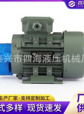 CB-B2.5JZBJZ直插式齿轮油泵电机组CB-BCFF10Z4B6ZJ齿J轮泵电机组