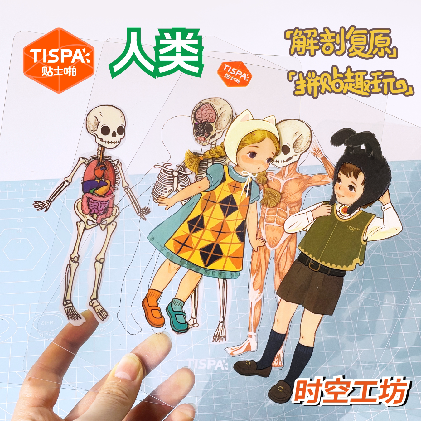 时空工坊解剖复原贴纸拼图动物百科人类可视化结构益智玩具儿童