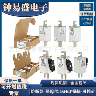 巴斯曼Bussmann熔断器1000V  160A   170M4965 170M4980