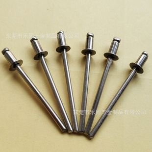 厂家直供不锈钢平头抽芯铆钉不锈钢平头抽芯拉钉半钢铆钉3.2