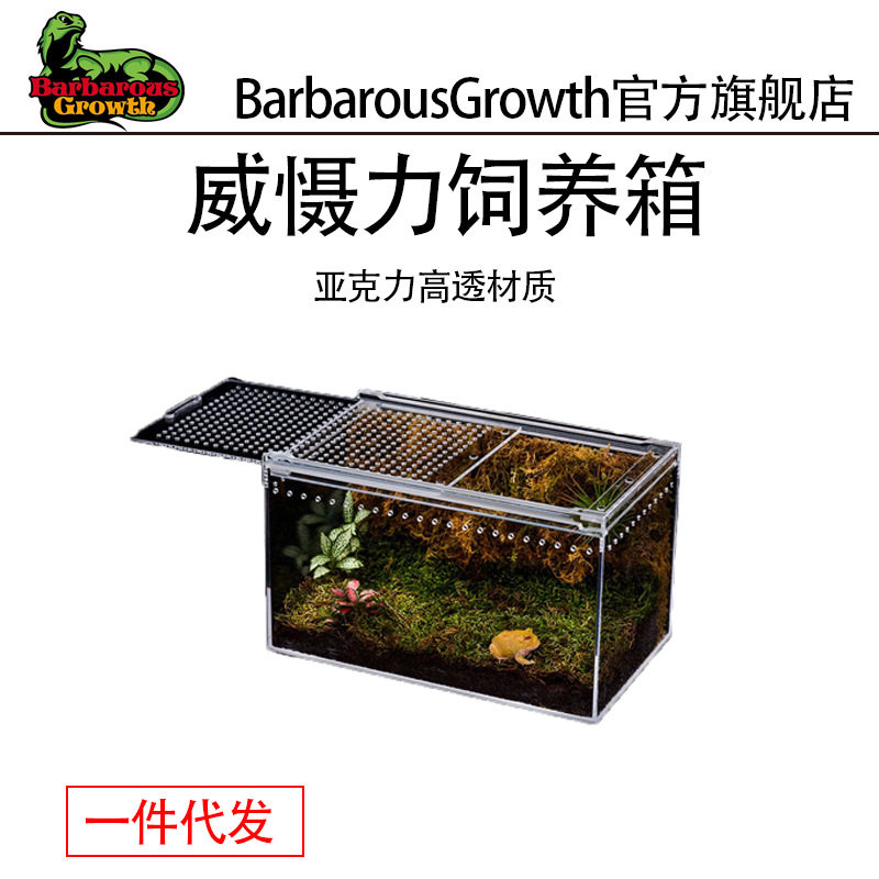 亚克力爬宠守宫蜥蜴饲养箱生态沙漠造景宠物蛇树栖角蛙乌龟水陆缸