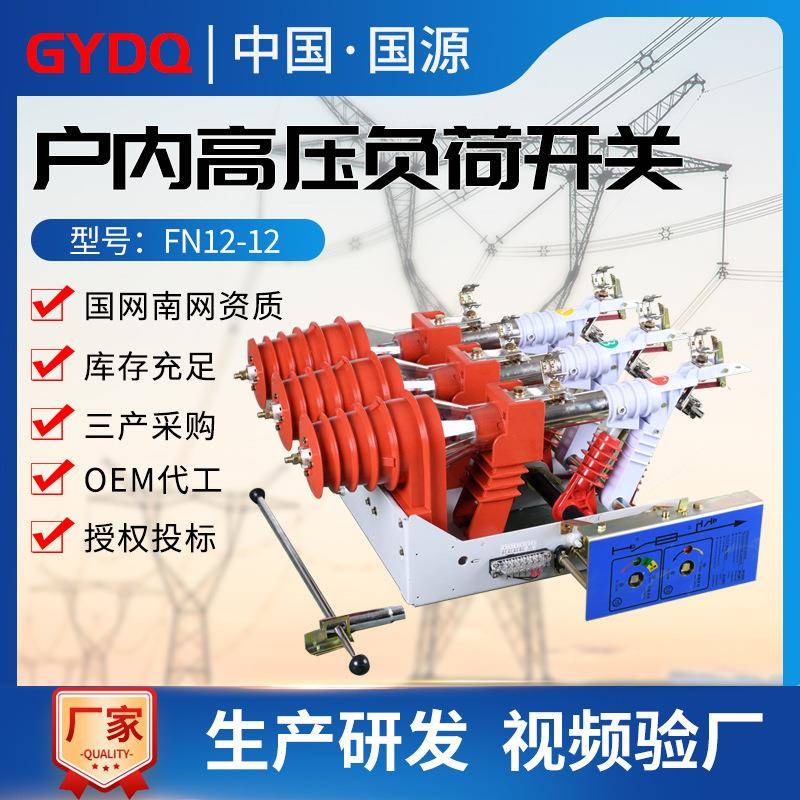 国源FN12高压真空负荷开关FN12-12RD/T125户内10kv带熔断器带接地