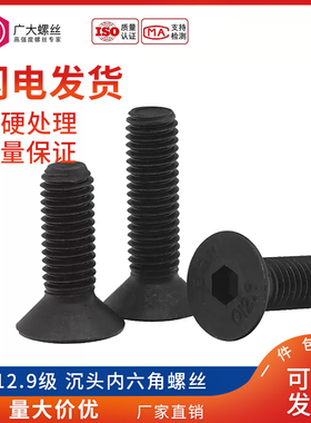 速发12 级沉头杯六角螺丝钉 平头内6角 平内-DI71.M4M5M6M8M10
