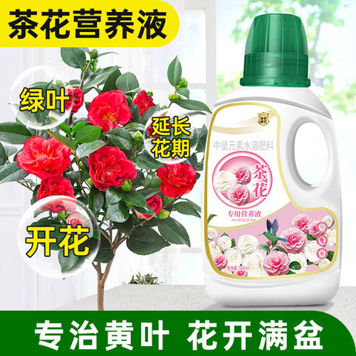 速发专用营养液山肥料专用肥性花开花肥酸催植物营养液