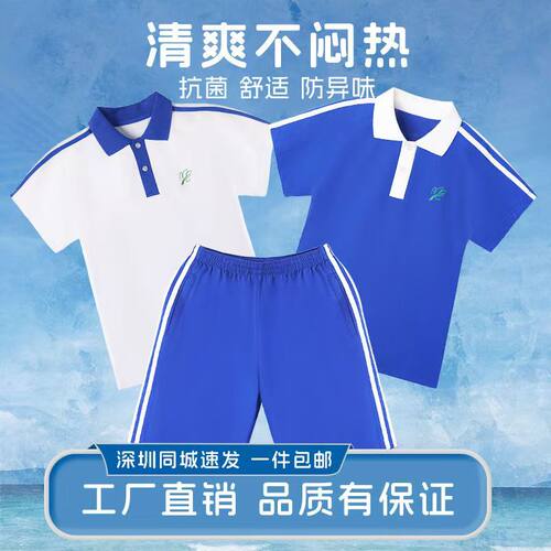 深圳市校服小学生短袖短裤套装