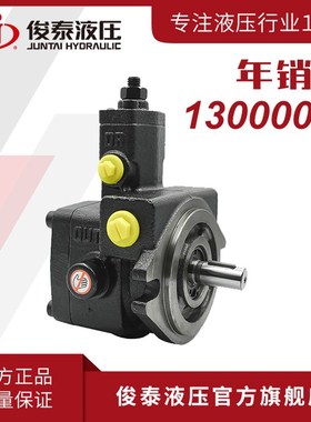 广东俊泰 低压液压系统油泵铸铁 VyP20/08/12/15 变量叶片泵厂家