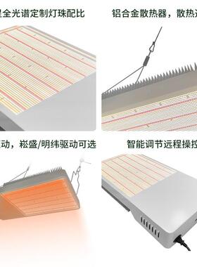 单模组LE百D植生STD-1200长灯合兰花内室花棚育苗植物物灯1200W植