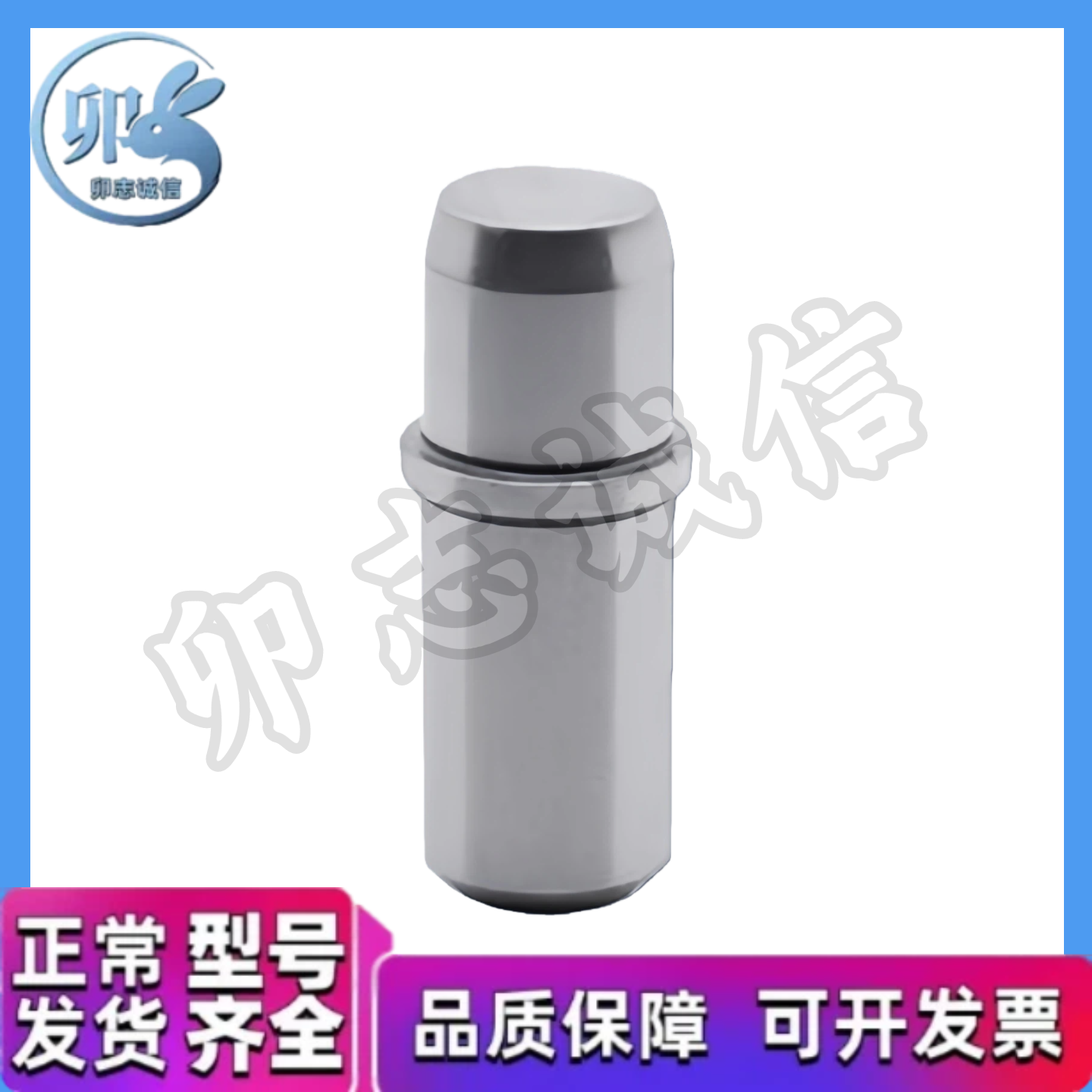 JPJB SJPJB JPDJ2 3 4 5 6 8 10 12 13 16 20-P-B-L 带肩定位销