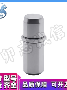 JPJB SJPJB JPDJ2 3 4 5 6 8 10 12 13 16 20-P-B-L 带肩定位销