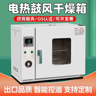 电热恒温鼓风干燥箱高温加热烘干箱高精度工业烤箱实验室烘箱医用