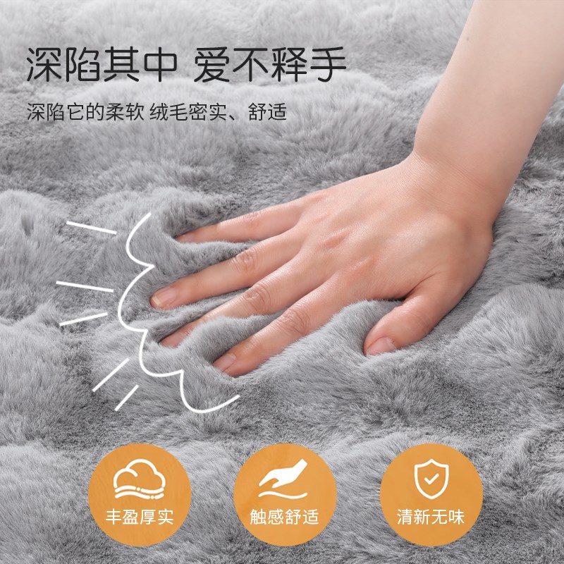 2024新款客厅地毯卧室床边毯隔音沙发茶几书房飘窗地垫衣帽间脚垫