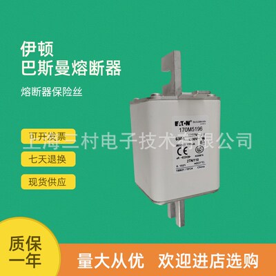 全新原装快速熔断器保险丝170M5118 170M5119 170M5138 170M5139