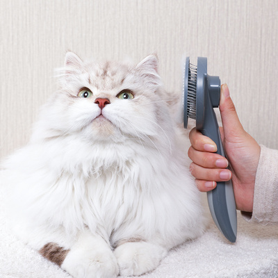 一键祛毛 懒人专用 猫咪梳子自洁梳去浮毛梳毛刷毛梳猫毛清理神器