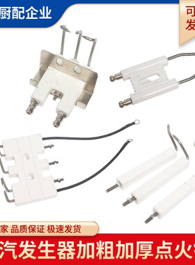 海鲜蒸柜炉灶蒸汽发生器锅炉火排燃烧器陶瓷点火针感应针组合一套