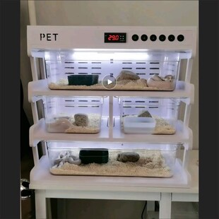 宠物保温箱异宠加热过冬守宫成体蛇捷角R属爬虫爬宠蛇柜饲养爬柜