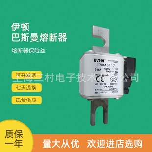 170M2657 170M2621 170M2658 快速熔断器保险丝170M2620 全新原装