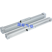 4J00 无杆气缸DGC DGP 500 1000 600 FESTO型机械式