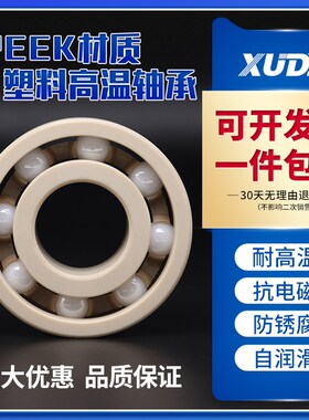 PEEK塑料高温轴承  6007PEEK 6007PEEK【进口P5】