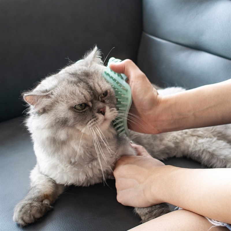 按摩梳子猫玩具猫咪蹭痒器桌腿大号蹭毛器猫咪自己挠痒痒的玩具