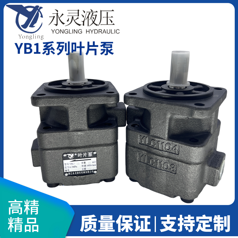 仙居永灵叶片泵YB1-100/6.3/10/12.5/16/20/25/32/63/80/125油泵