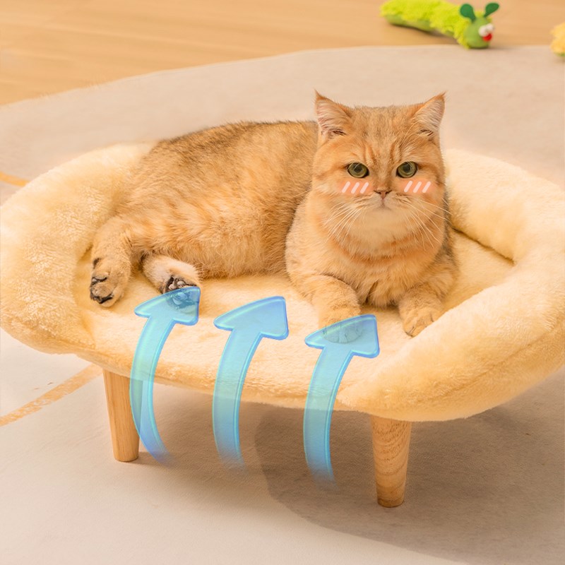 实木猫窝凳子人猫共用封闭多猫咪用品小幼猫屋房四季通用冬天保暖