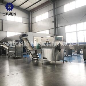 洋葱加工设备现货东北小红葱脱皮机 洋葱流水线价格