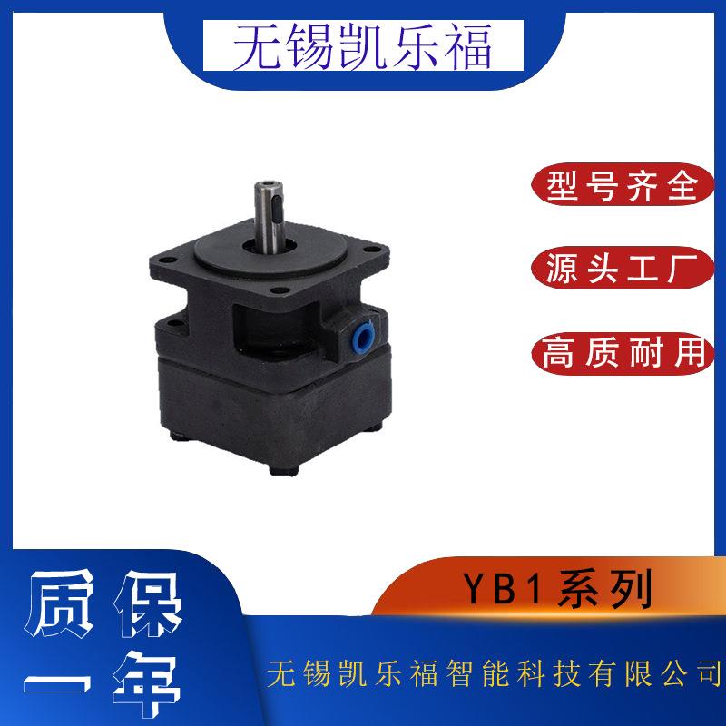 双联叶片泵YB1-25/25 注塑机油泵 切削机床油泵