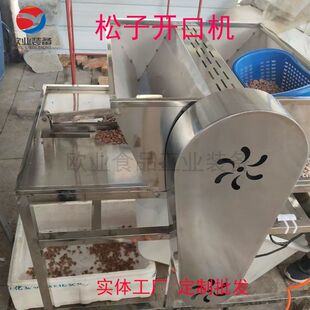 梅河口松子开口机 松子自动开口机器 东北松子加工设备 榛子压口