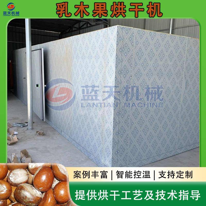 乳木果烘干机 雪亚果牛油果漂烫去壳烘干生产线 乳木果核烘干设备