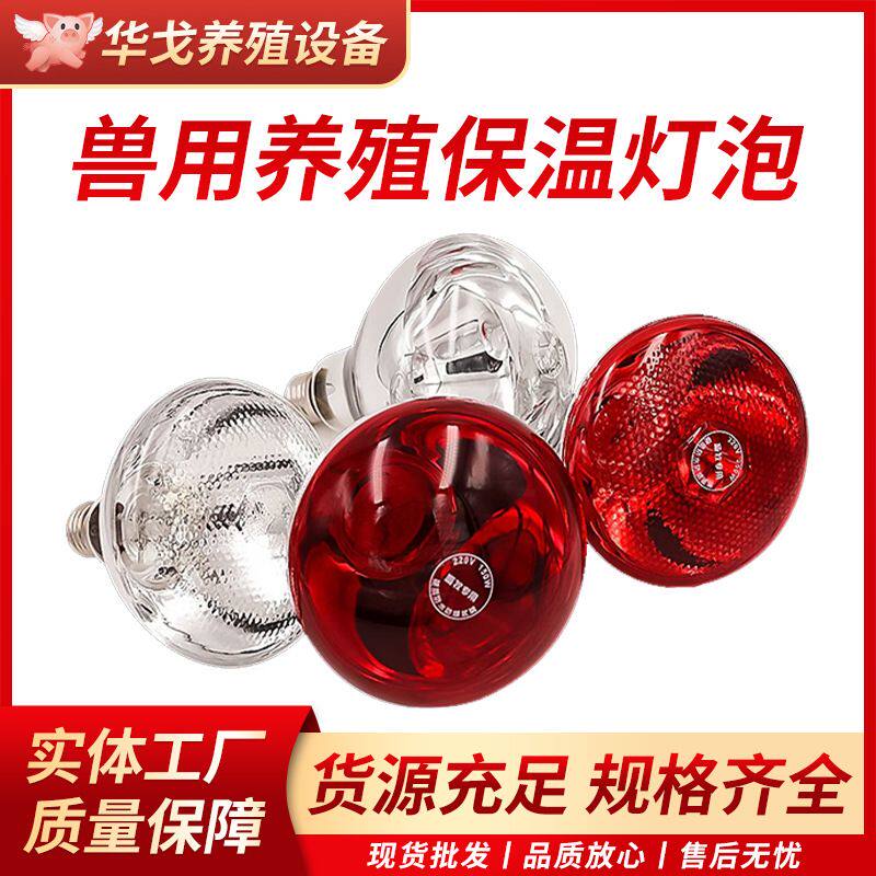 仔猪用保温灯养殖场专用加厚灯泡小鸡育雏加热烤灯兽用取暖保暖灯