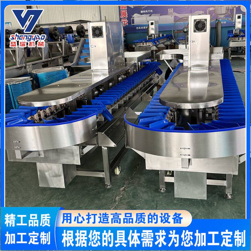 水果榴莲肉重量分选机 4级大蒜称重分级机 海鲜生蚝分选秤 盛耀