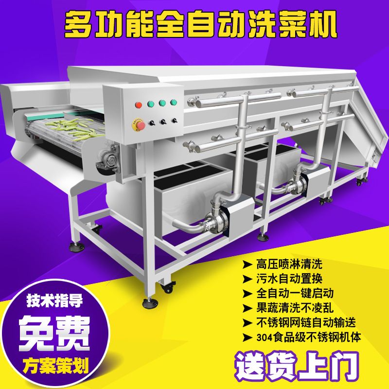 叶类菜喷淋清洗机 高压龙宫果清洗机 连续式万年青菜心清洗线