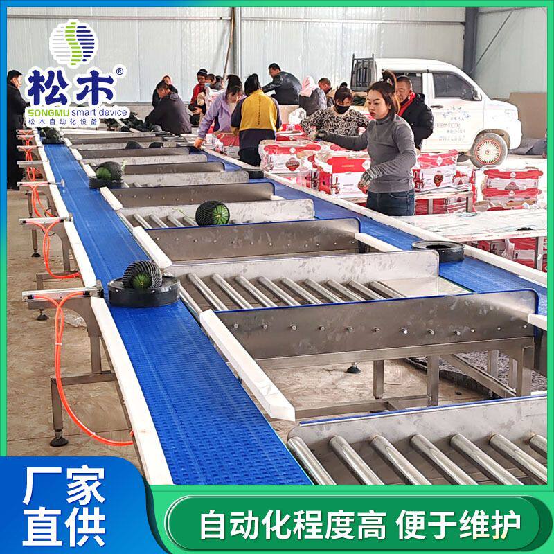 厂家直供瓜果重量分选机哈密瓜分级秤西瓜分选流水线配套智能瓜托