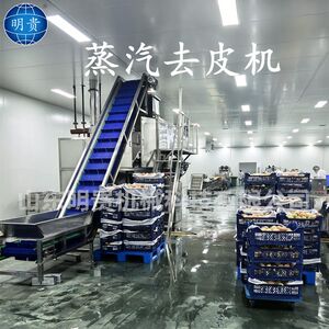 红枣高温脱皮设备果蔬蒸汽去皮机自动化黄桃剥皮爆皮机器
