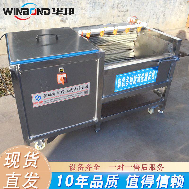 商用生蚝海虹清洗机 贝壳海鲜毛辊清洗机 不锈钢毛辊清洗设备